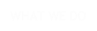 WHAT WE DO